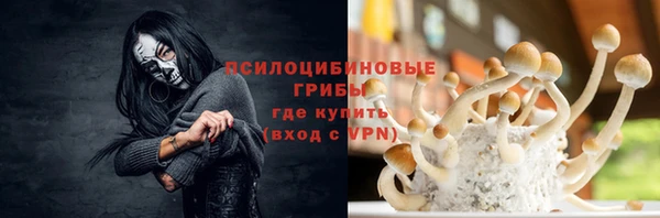 а пвп мука Надым
