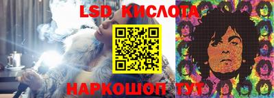 ПСИЛОЦИБИНОВЫЕ ГРИБЫ Изобильный