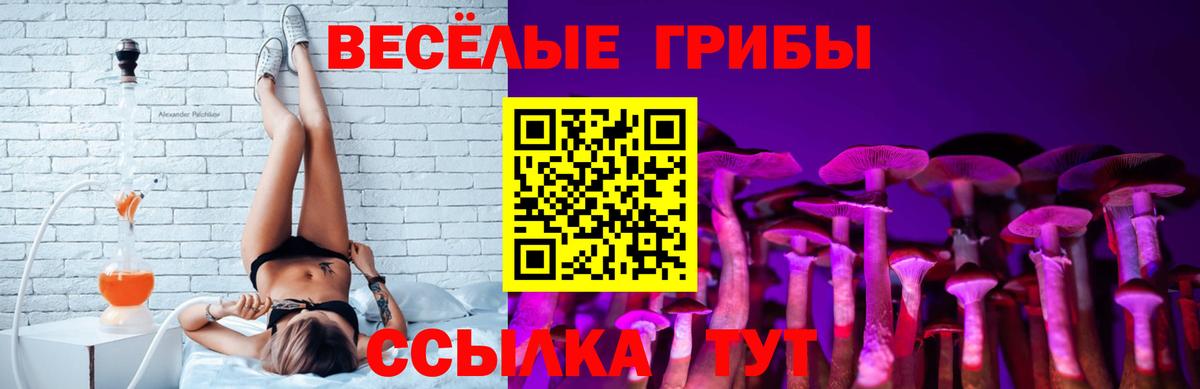 Галлюциногенные грибы GOLDEN TEACHER Нижневартовск