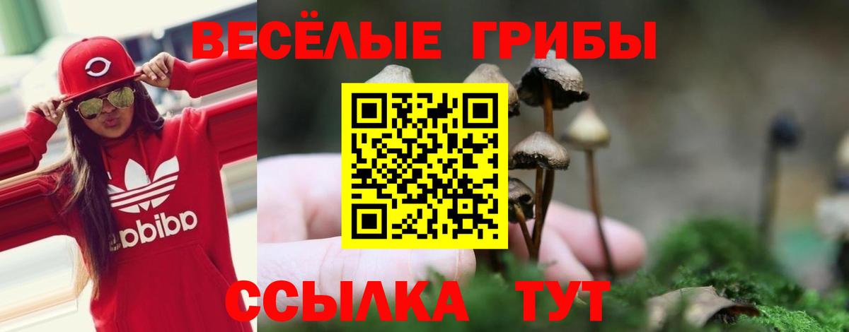 Псилоцибиновые грибы мухоморы  Вход с VPN  Нижневартовск 