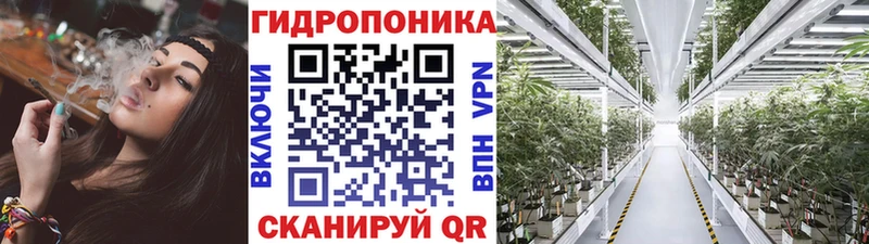 сколько стоит  Нижневартовск  Каннабис семена 
